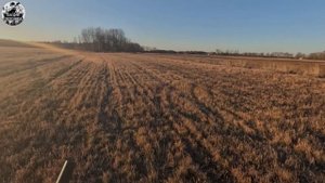 Охота на ГУСЯ 2025❗️Удачное открытие Охоты 🔥 Калининг