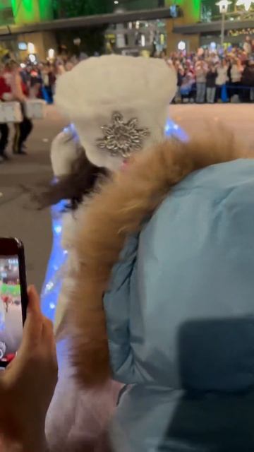 Новогодний парад в Америке 🎄🎊😍 #америка #christmas #жизн смотреть онлайн