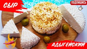Секреты адыгейского сыра: простой и вкусный рецепт в домашних условиях