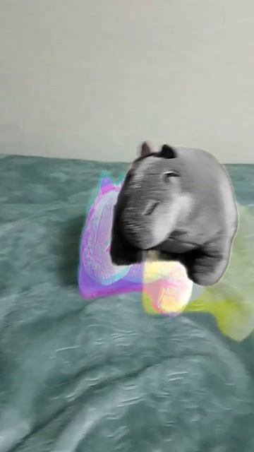 капибара любит крутые песни смотреть онлайн