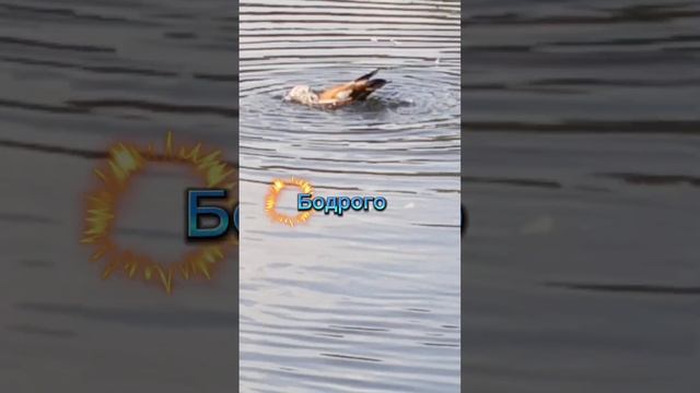 Доброе утро! Добрый день!#отличногонастроения #красот?
