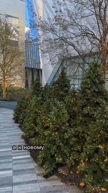 Американцы не празднуют Новый год как Рождество #сша? смотреть онлайн