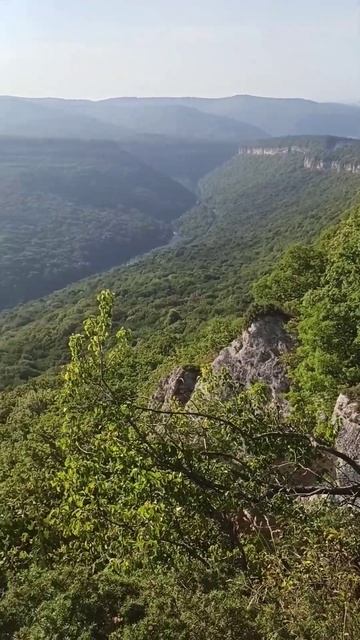 Канатная Дорога в Даховской, Савранская Канатная Дорога #адыгея #shorts смотреть онлайн