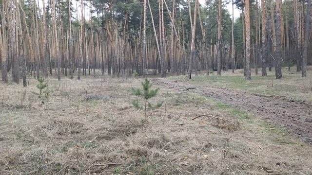 Золото, валюта, серебро.