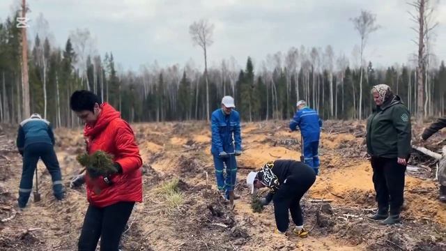 Филиал «Витебские электрические сети» присоединился