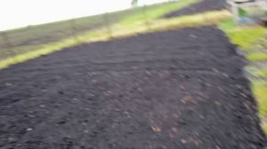 Утренняя проверка территории 🤗