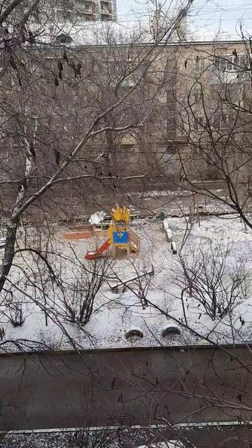 Первый снег в Волгограде 05.12.2023г. смотреть онлайн