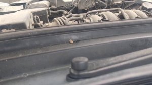 Когда подушка покинула чат.mp4