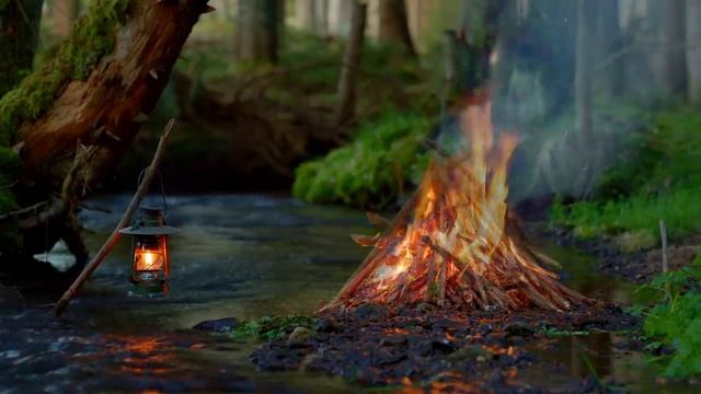 4K Костер у реки надежды 🌿Успокаивающие звуки чистой природы