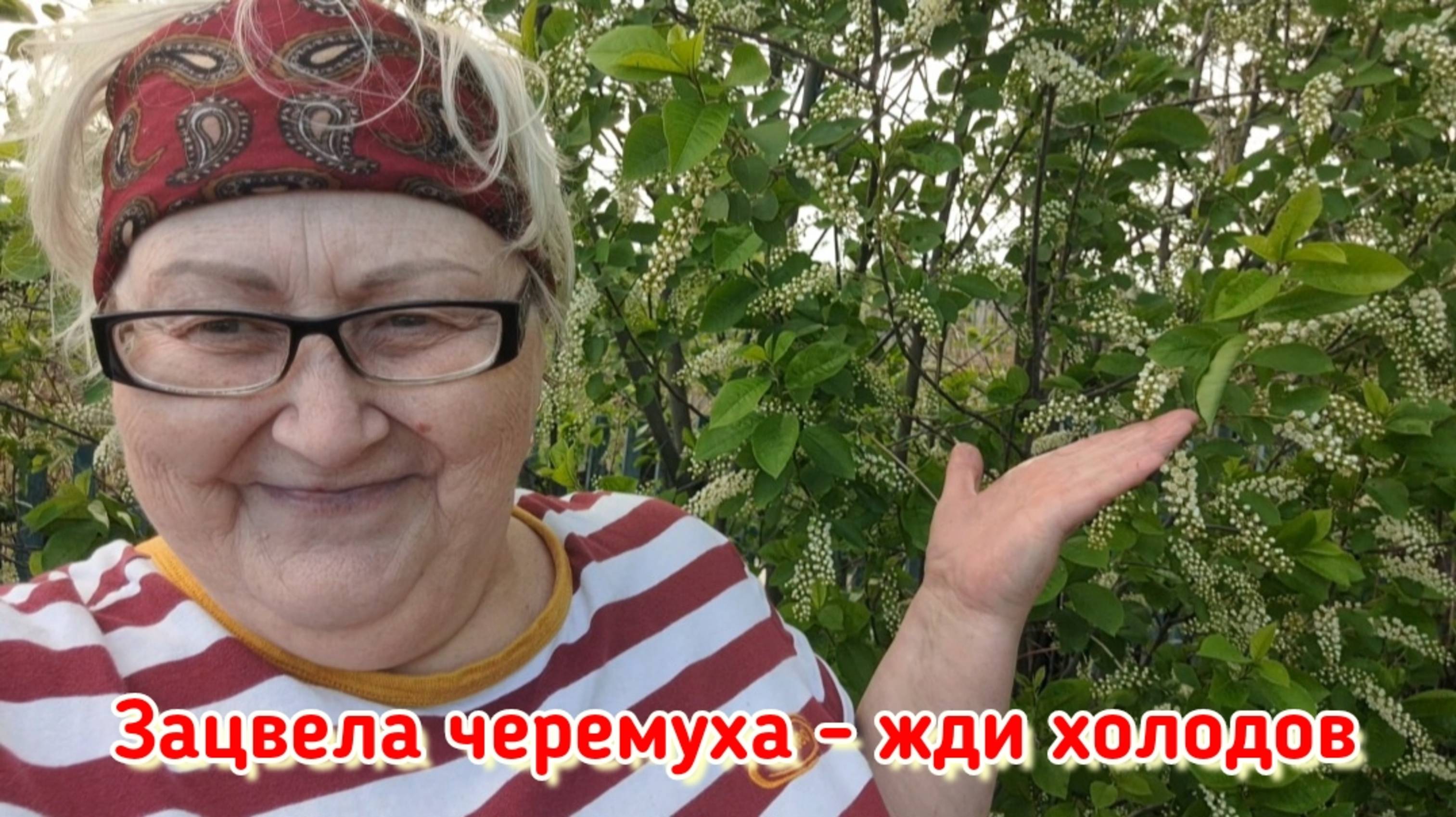 10 мая 2025 год. Ещё один день моей жизни.