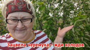 10 мая 2025 год. Ещё один день моей жизни.