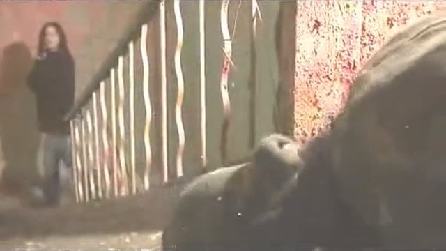 Если хватит сил. Тизер. смотреть онлайн