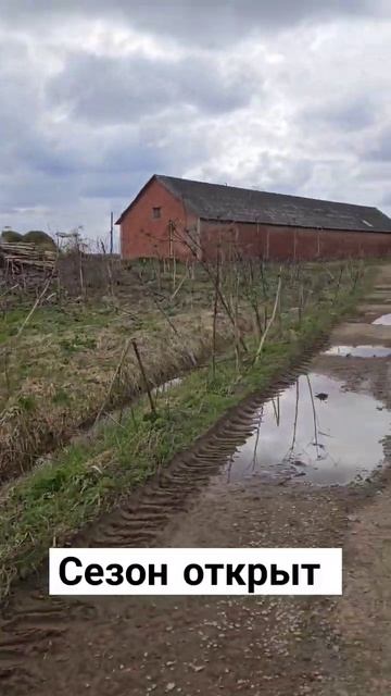 #обработка #борщевик смотреть онлайн