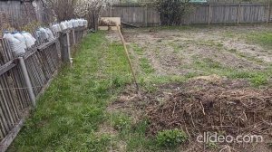 Посадили скороспелку ИМПАЛА и ГИБРИД, Обрезка Дуба, Тополей , и Разметка Поля под вспашку