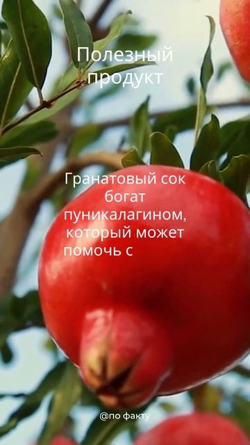 польза граната смотреть онлайн