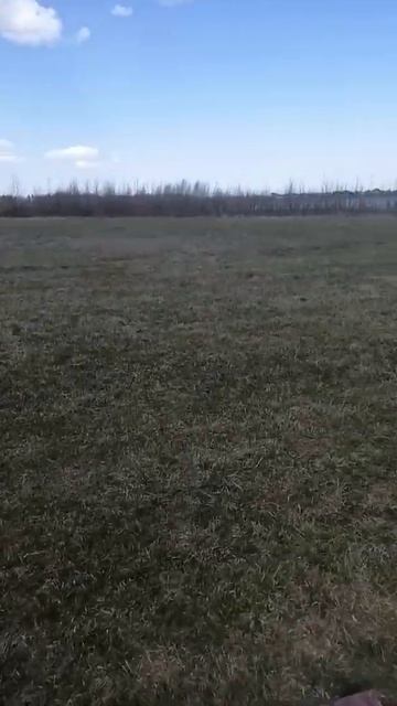 23 июня 2022 г. смотреть онлайн