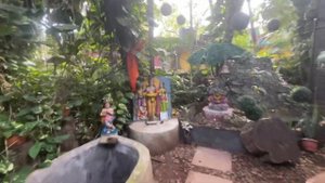 Гоа бизнес. Ищем способы заработать деньги. Индия 🇮🇳