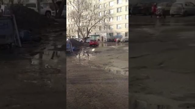 Моя новая жизнь в Краснодаре 🌸