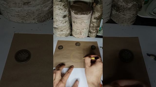 Как нарисовать нектарин, часть 1 ?