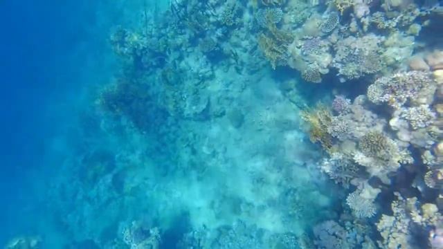 Египет, Шарм-Ель-Шейх 19-26.06.2022 часть 3 подводный мир смотреть онлайн