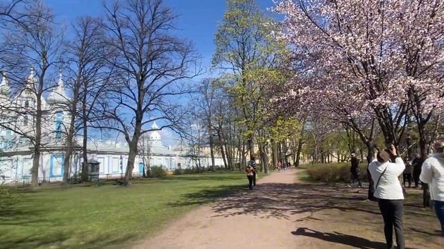 Прогулки по Санкт-Петербургу. Парк у Смольного собора. смотреть онлайн