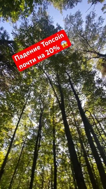 После задержания Дурова в Париже #капитал #финансы #ин?