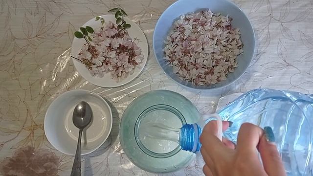Квас из акации. Вкусно и очень полезно! смотреть онлайн