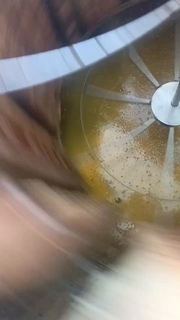 Акация 2024 Чудо всёже случилось! 😊 смотреть онлайн