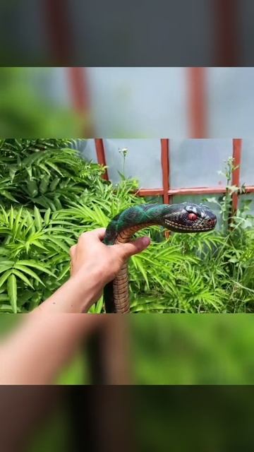 змея из дерева моя работа как получилось? смотреть онлайн