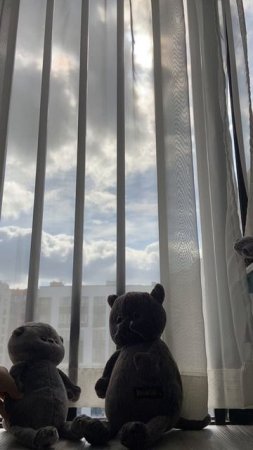 Прикол!!