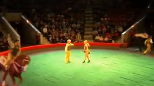 Moзель ретро жокеи