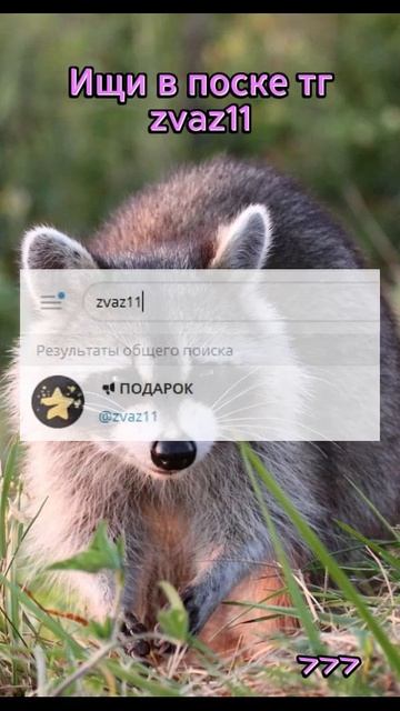 бесплатные звёзды тг #бравлстарс #рек #шортс #друзья #ш? смотреть онлайн