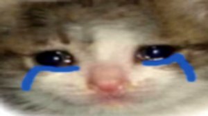 ПЛАЧУЩИЕ И ОРУЩИЕ КОТЫ - ОТКУДА МЕМ?