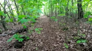 На что способен человек. Отношения между людьми