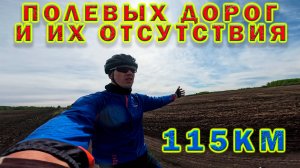 115 км. Полевые дорог и их отсутствие.