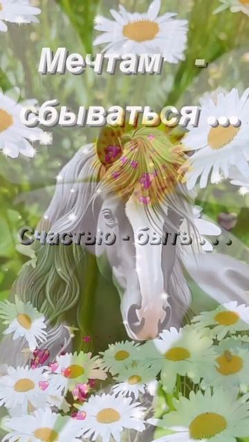 Доброе утро 🌸 добрый день 🌸 музыкальная открытка #сд