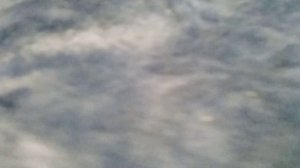 1942 год битва Северного фронта