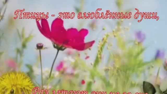 Птицы