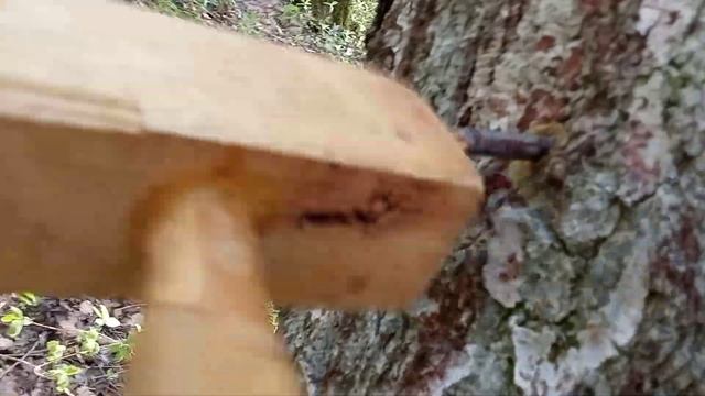 Сбор берёзового сока 2024(11) Заканчиваем сбор, конопатим смотреть онлайн