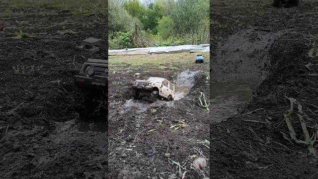 1000003695.mp4