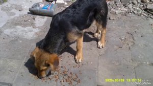 Мариуполь ⛵ праздничный, несломленный! ПОМНИМ 😔 тех, кто не дожил до освобождения нашего города.