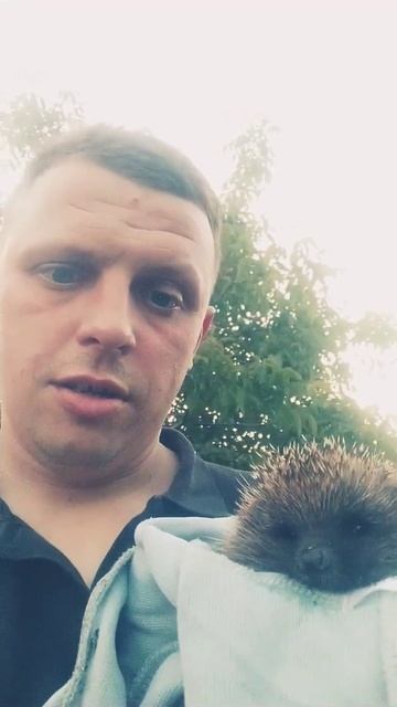 #ёжик Семён ,🦔 смотреть онлайн