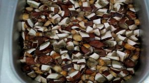 Икра из лесных грибов