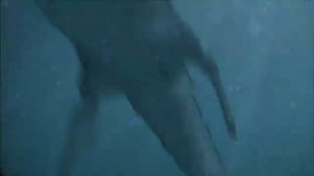 Акулозавр (Dinoshark, Asylum-Syfy MONSTER MADNESS).flv смотреть онлайн