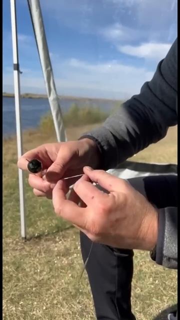 Идеальный поводок на карпа! 😎👌 смотреть онлайн