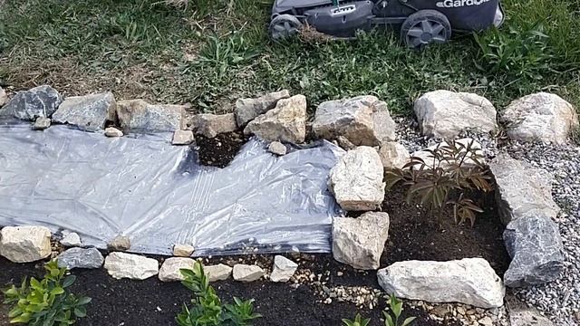 СМЕШЕНИЕ СЕМЯН РАЗНЫХ ЦВЕТОВ НА ЦВЕТОЧНОЙ КЛУМБЕ смотреть онлайн