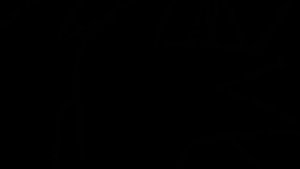 Как я построила гигантскую конструкцию, которая едва не рухнула на финише №5