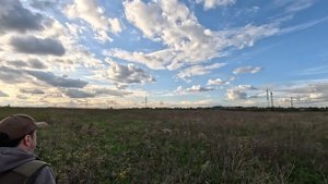 Тренируемся по коростелю но поднимаем куропаток. Гай-Фрэя