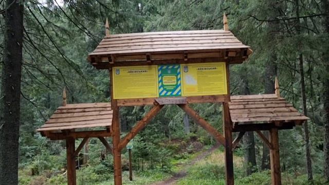 Грибний похід під Молодою смотреть онлайн