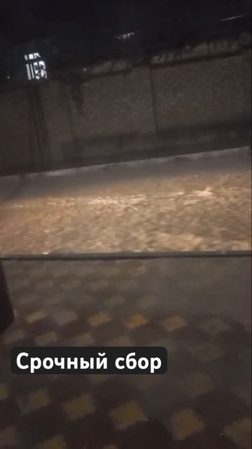 Кто на саппах срочный сбор есть течение 🆘🆘🆘🆘🆘🆘? смотреть онлайн